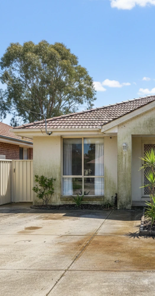 Gemini_Generated_Image_fmh7ftfmh7ftfmh7 1